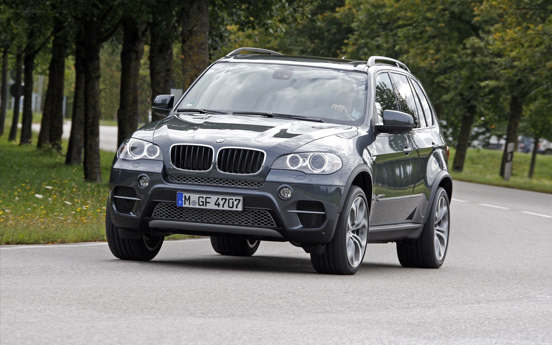 gray bmw suv on a road