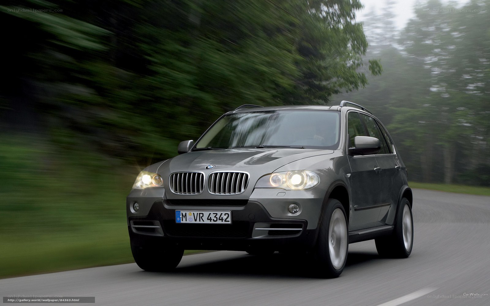 gray bmw suv on road