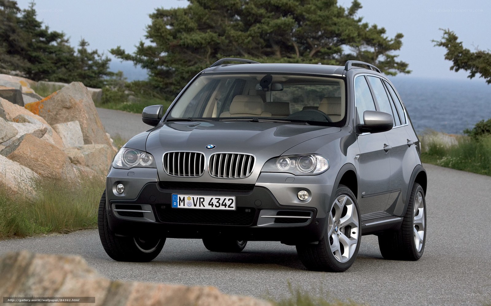 Gray BMW X5 on coastal road