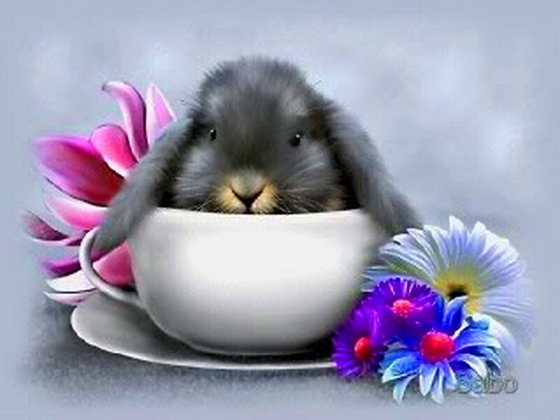 Gray Bunny in Cup