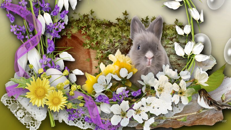 Gray Bunny in Flowers