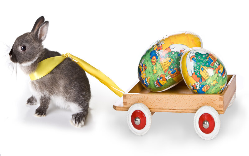 Gray Bunny Pulling Cart