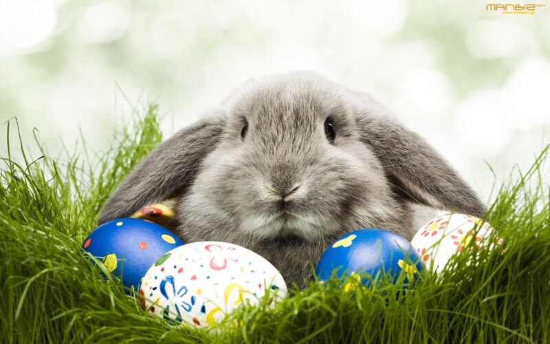 Gray Bunny with Eggs — Green