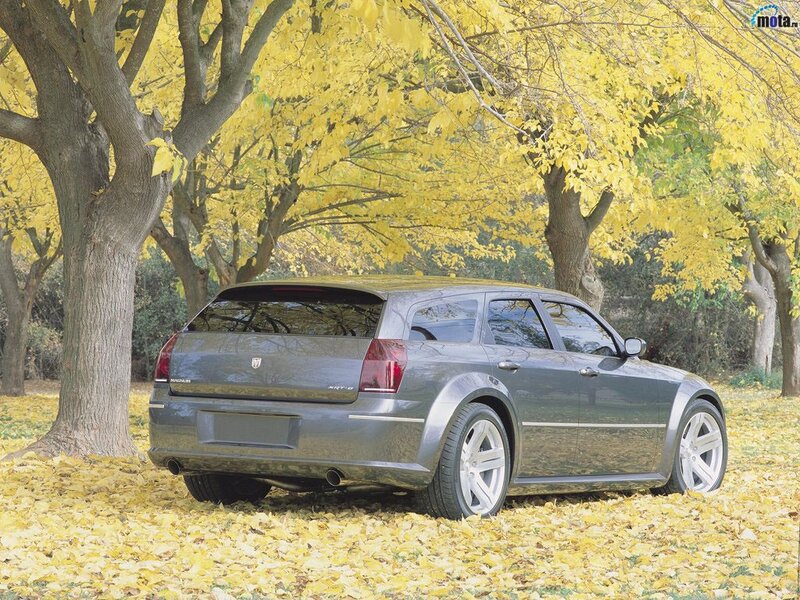 Gray car in autumn leaves