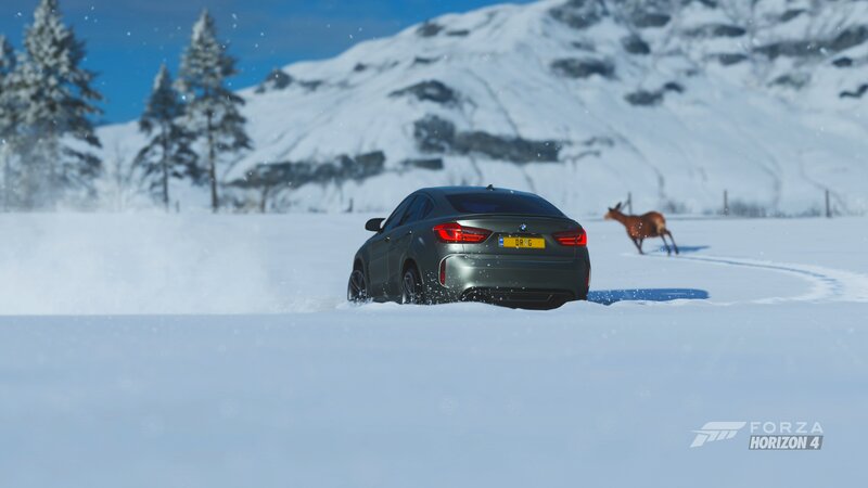 Gray Car in Snow