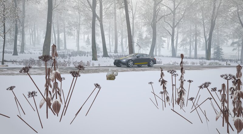 Gray Car in Snowy Forest