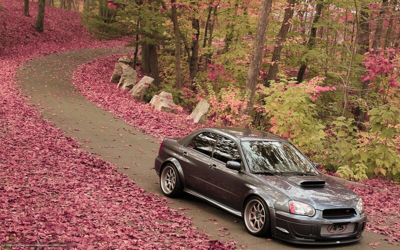 Gray car on autumn path