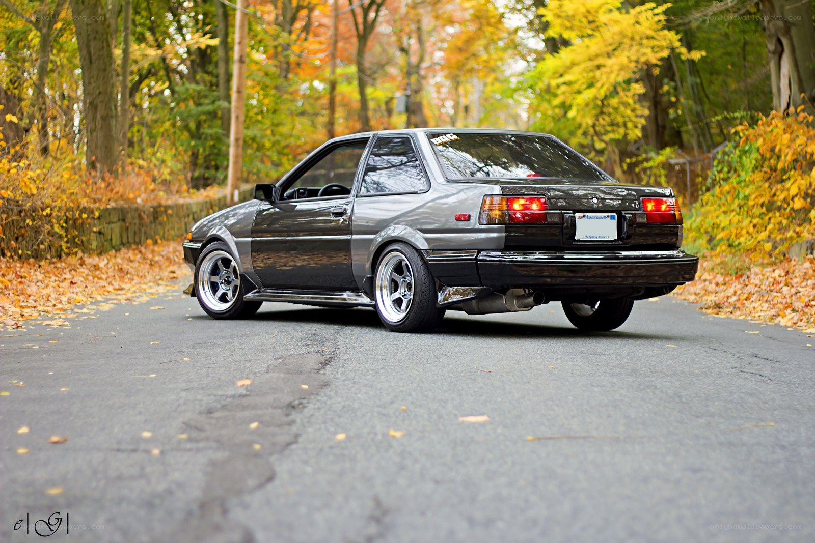 gray car on autumn road