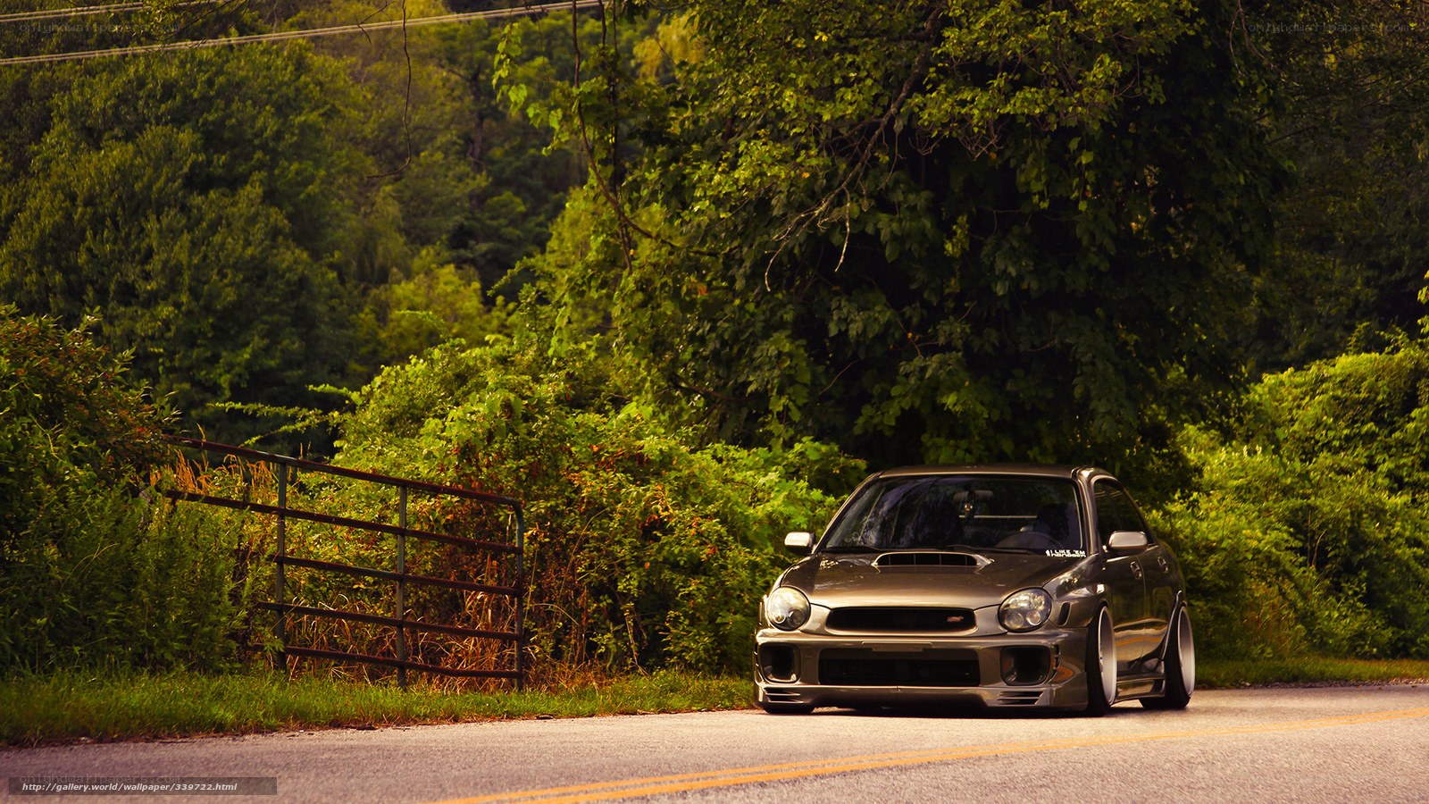 gray car on country road