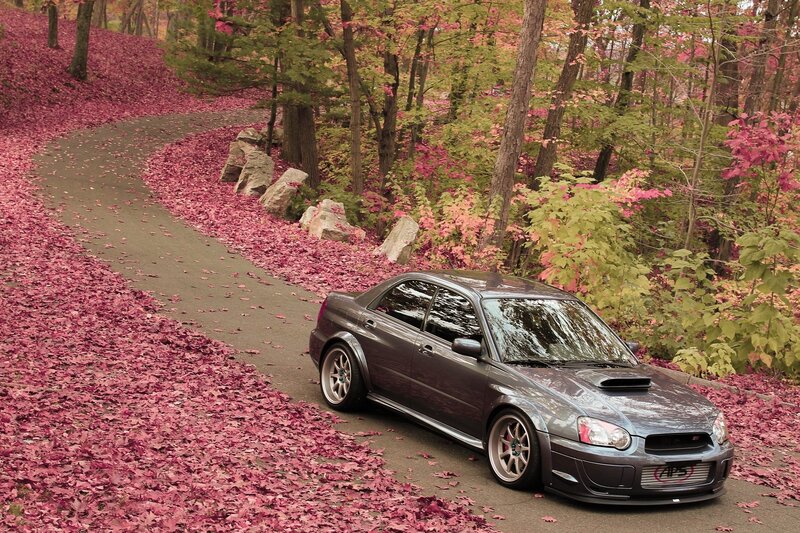 Gray Car on Leaf-covered Road — Red
