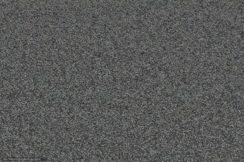 Gray Carpet Texture — Neutral