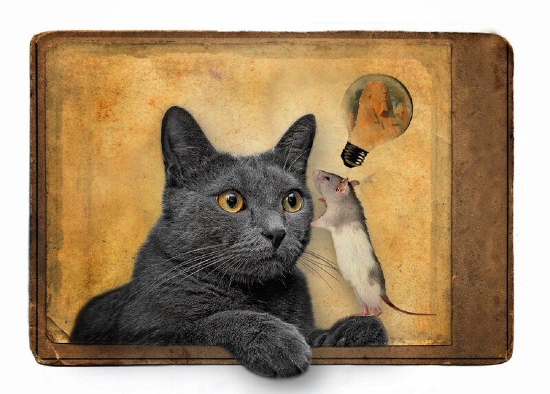 Gray Cat and Mouse