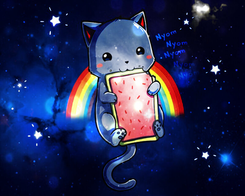 Gray Cat Eating Pop Tart — Blue