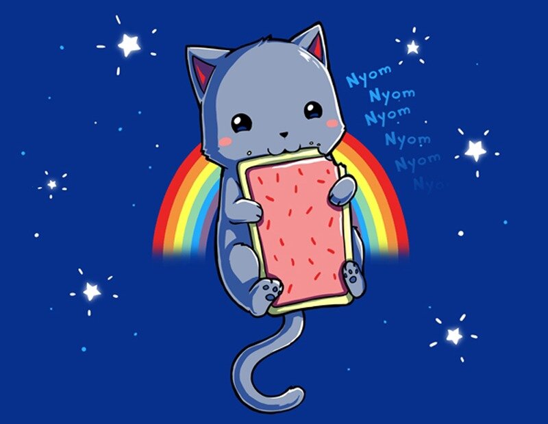 Gray Cat Eating Pop Tart