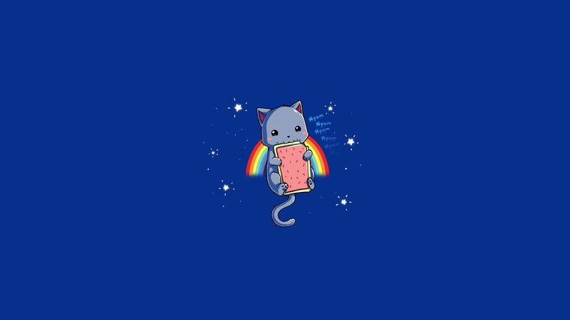 Gray Cat Holding Pop Tart