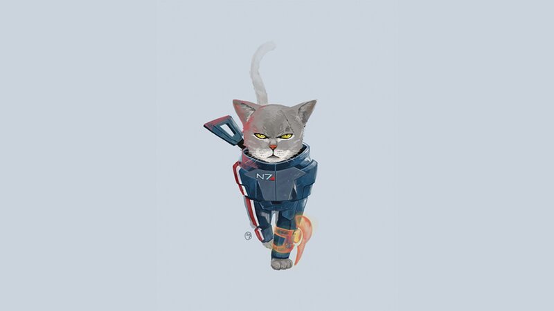 Gray Cat in Armor