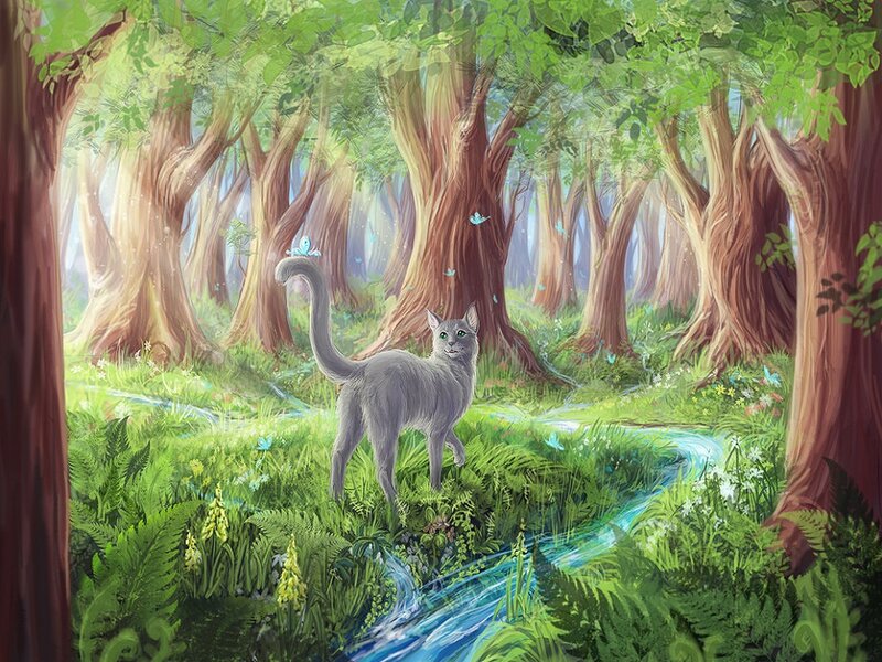 Gray Cat in Forest — Green