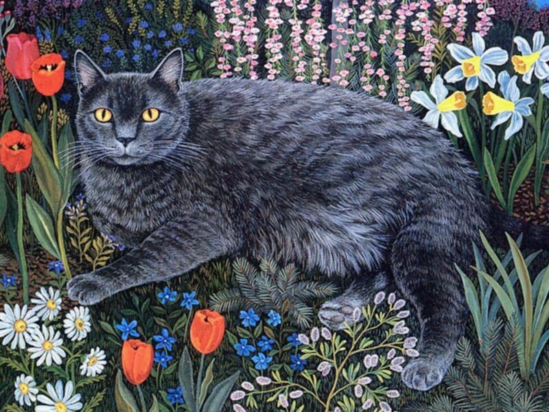 Gray Cat in Garden — Serene