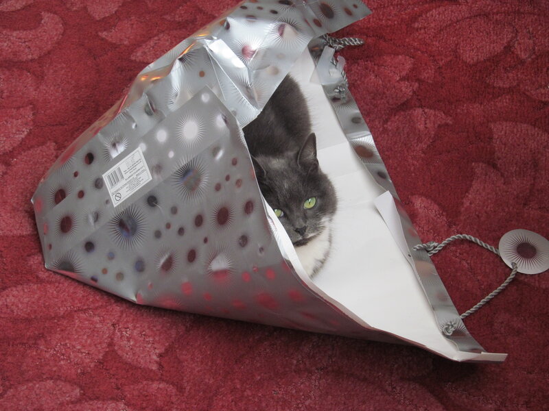 Gray Cat in Gift Bag — Silver