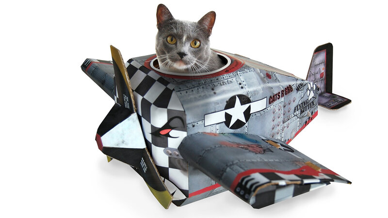 Gray Cat in Toy Plane