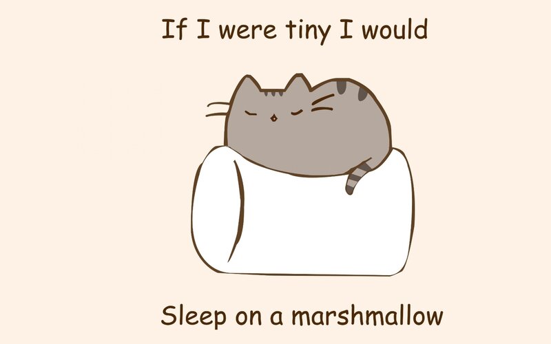 Gray Cat on Marshmallow — Beige