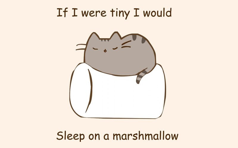 Gray Cat on Marshmallow — Calm, Sleepy