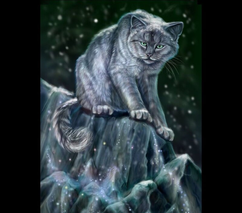 Gray Cat on Rock