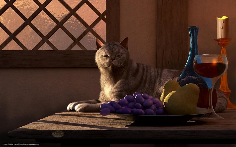 Gray Cat on Table — Brown, Dramatic