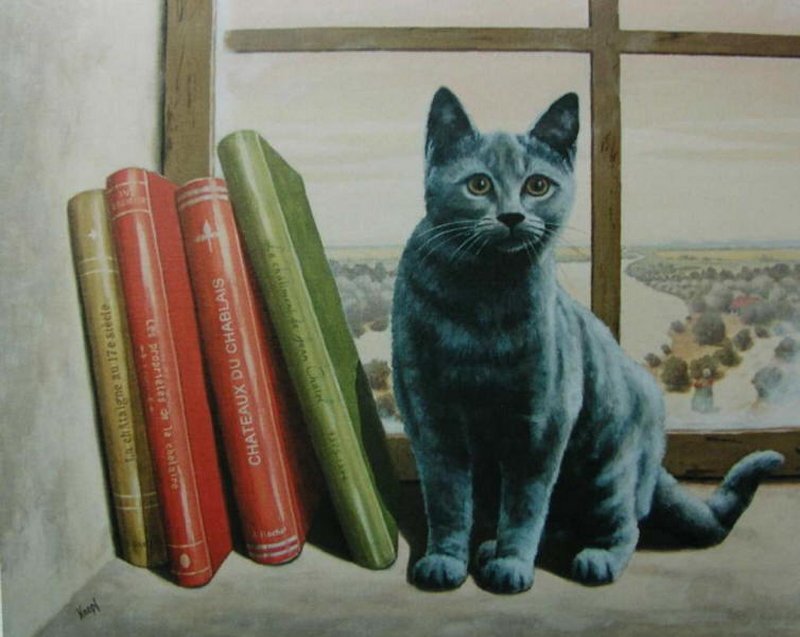 Gray Cat on Windowsill — Calm