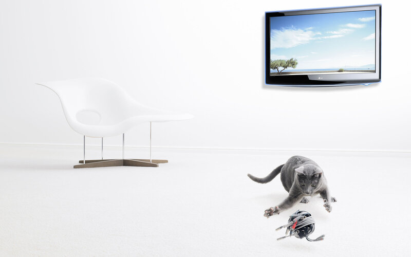 Gray Cat Playing with Cable