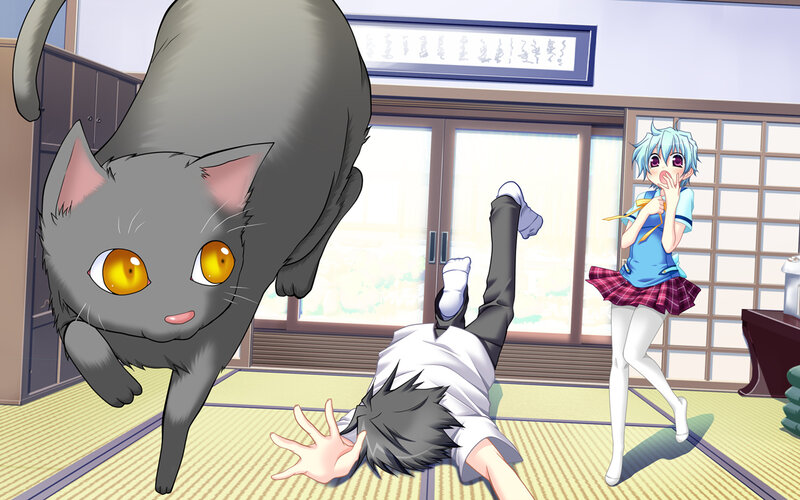 Gray Cat Pouncing on Boy