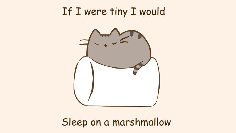 Gray Cat Sleeping — Calm, Sleepy