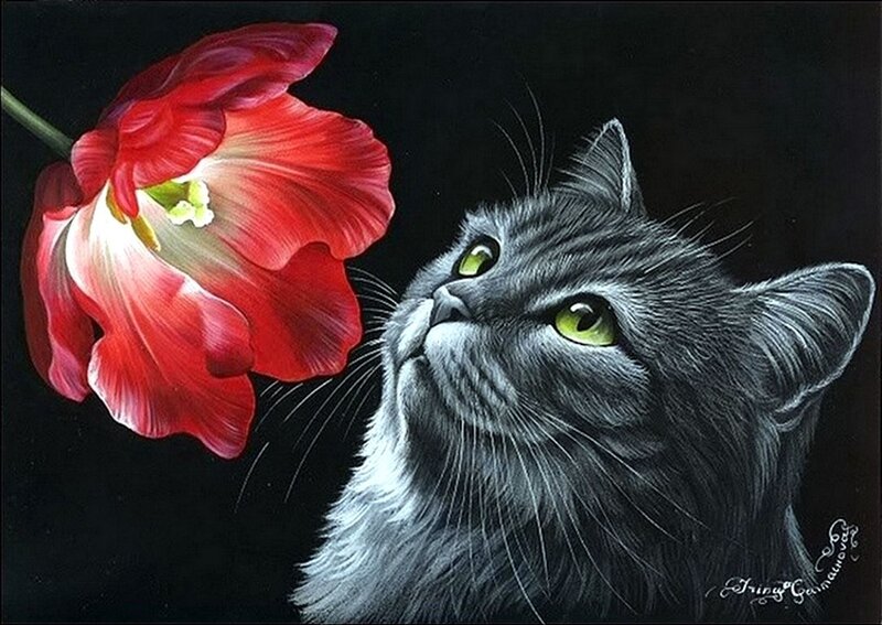 Gray Cat Smelling Flower — Red
