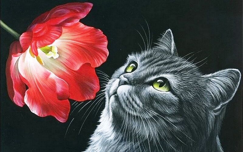 Gray Cat Smelling Flower