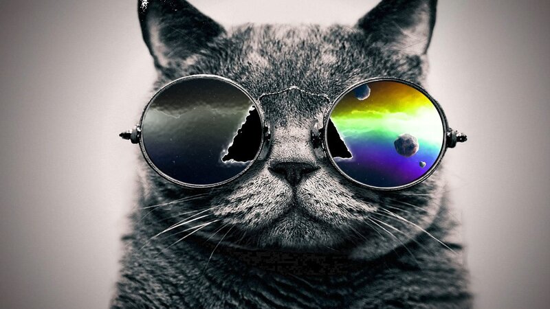 Gray Cat Wearing Glasses — Dramatic, Digital Art, Space