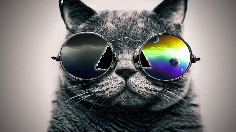 Gray Cat Wearing Glasses — Dramatic, Digital Art