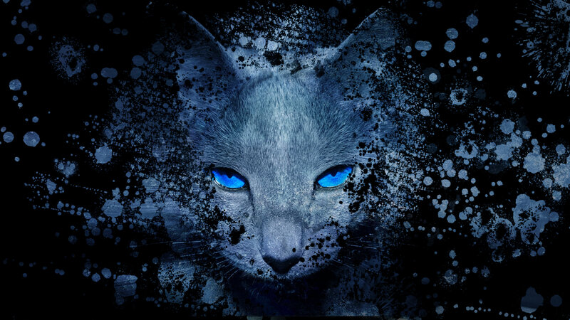 Gray Cat with Blue Eyes — Dramatic, Night, Digital Art