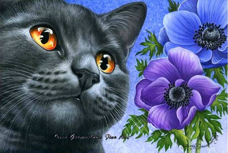Gray Cat with Flowers — Blue