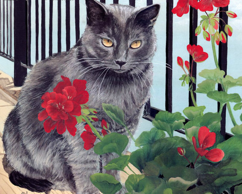 Gray Cat with Flowers — Calm, Afternoon