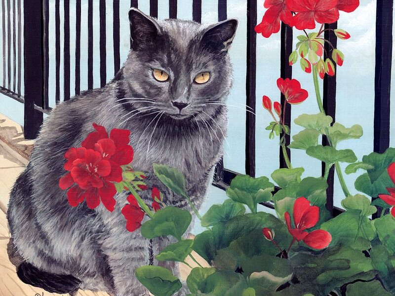 Gray Cat with Flowers — Calm
