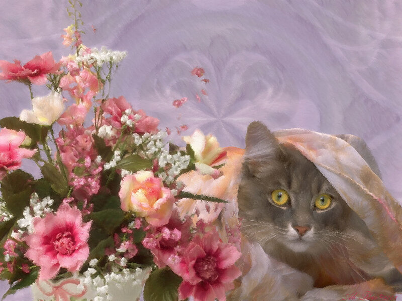 Gray Cat with Flowers — Pink