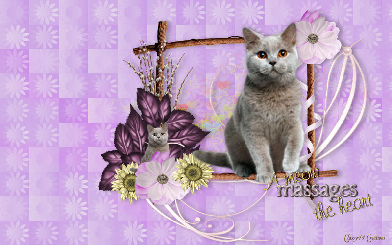 Gray Cat with Kitten — Purple