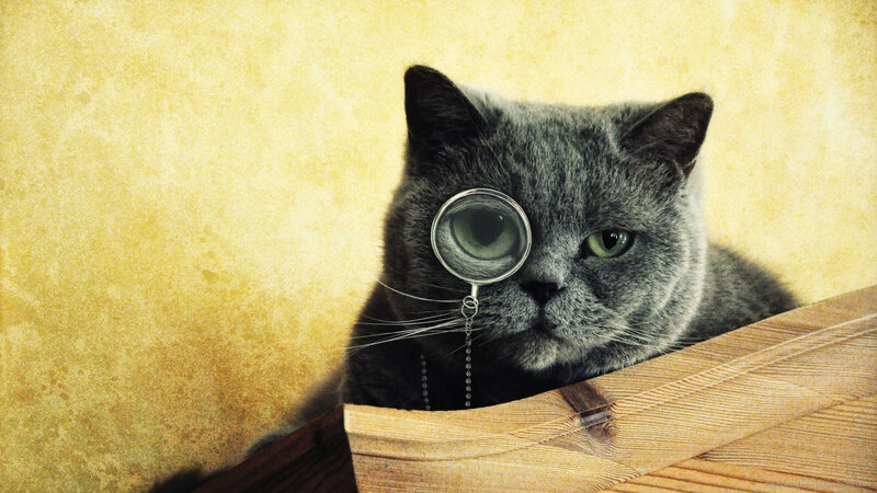 Gray Cat with Magnifying Glass — Curious, Digital Art