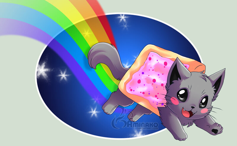Gray Cat with Pop-tart