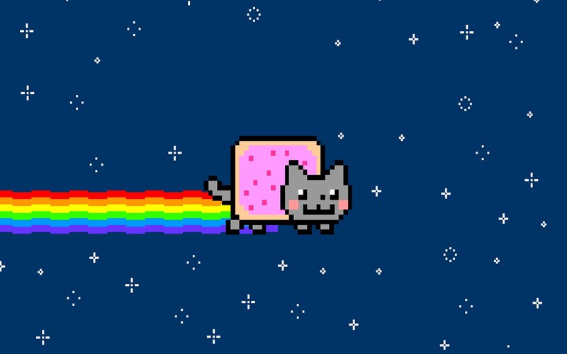Gray Cat with Rainbow Trail