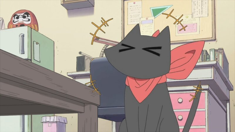 gray cat with red scarf