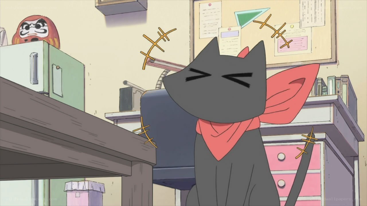 gray cat with red scarf
