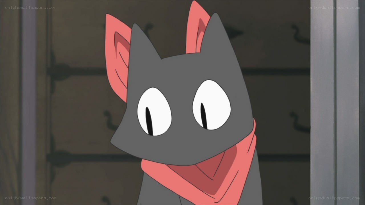 gray cat with red scarf