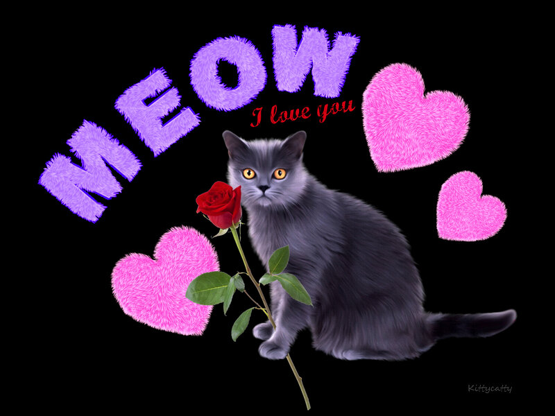 Gray Cat with Rose