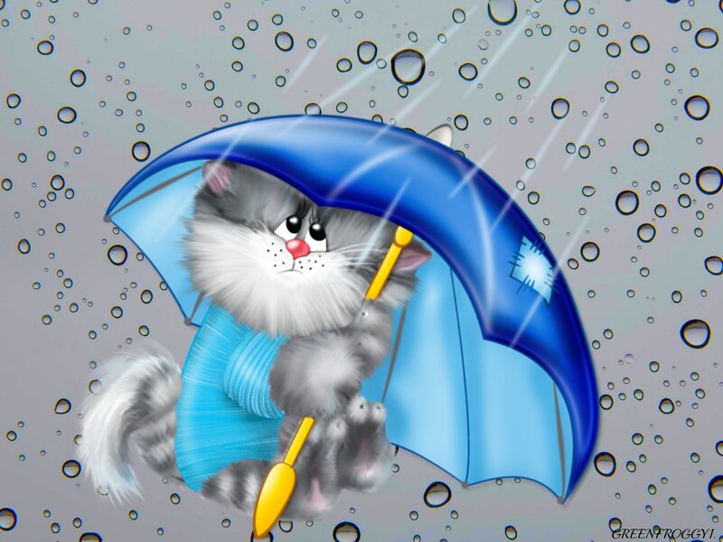 Gray Cat with Umbrella